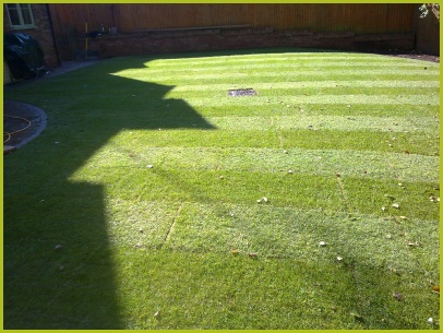 Turf/Lawn Supplied & Installed By Redditch Based Landscape Gardeners : Advanscape